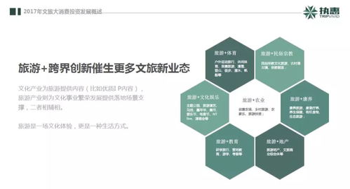 2018中国文旅大消费产业投资发展报告 文娱科技等领域最活跃 乾元分享